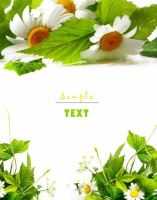 TOMORROW歌词视频